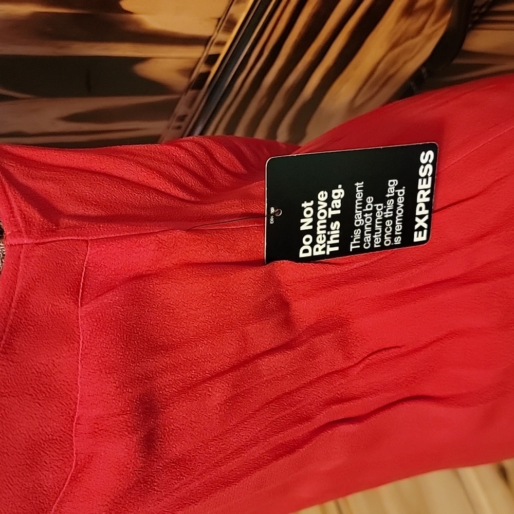 Express Dress - Picture 2 of 4